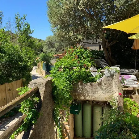 Haut De Naturiste Ideal Acces Mer
